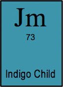 <b> Indigo Child </b> <i> 1. n.</i> The difficult offspring of deluded and pretentious mothers with hippy tendencies <i>2. n. </i> Messy toddler playing with blue and purple paint.